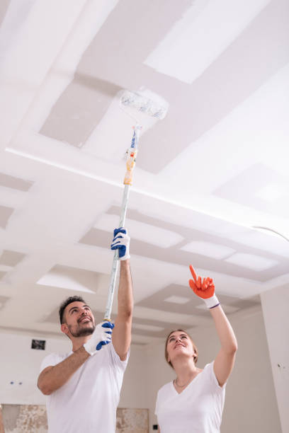 Best Attic Mold Removal  in Lus Valley Marinwood, CA